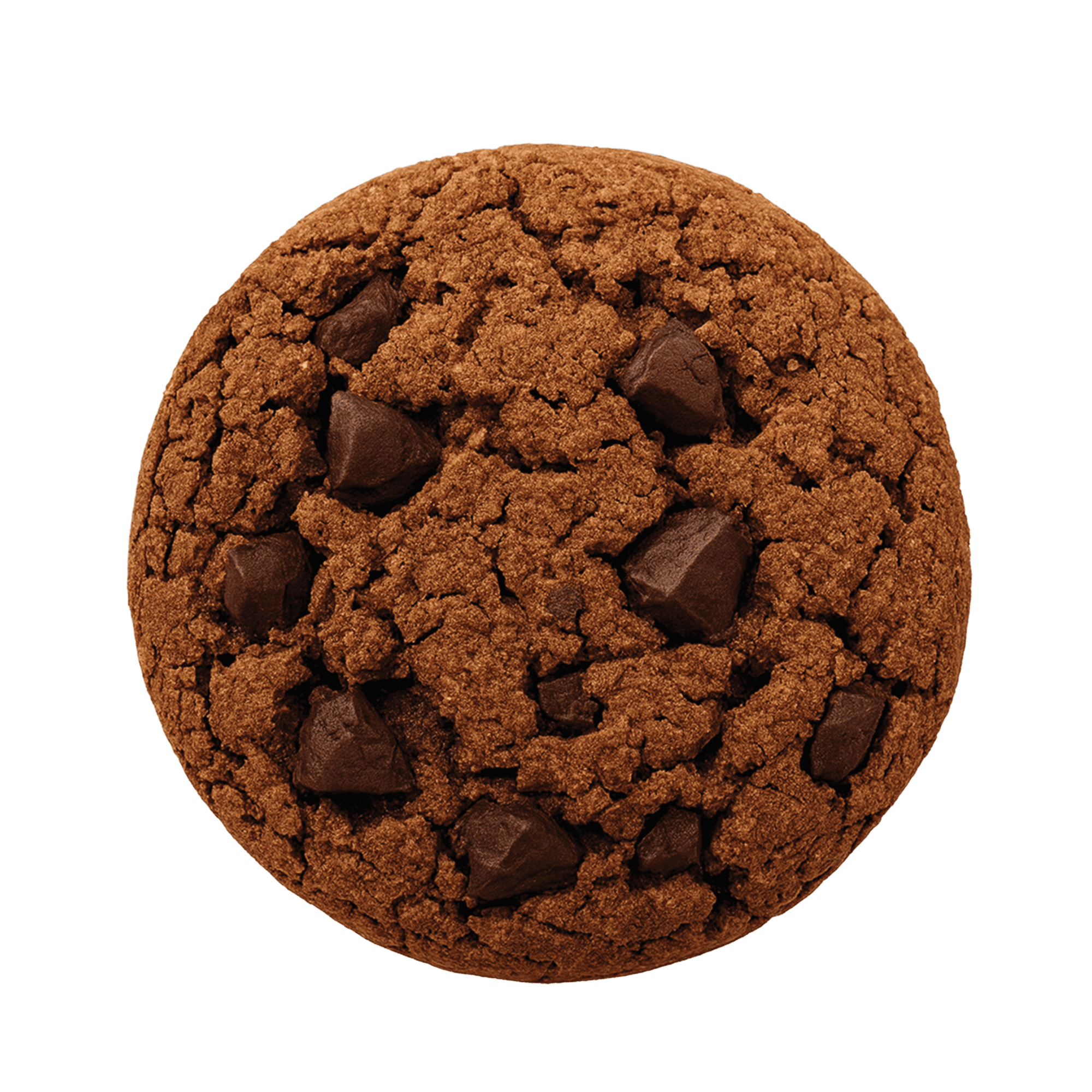 Chocolate Biscuit