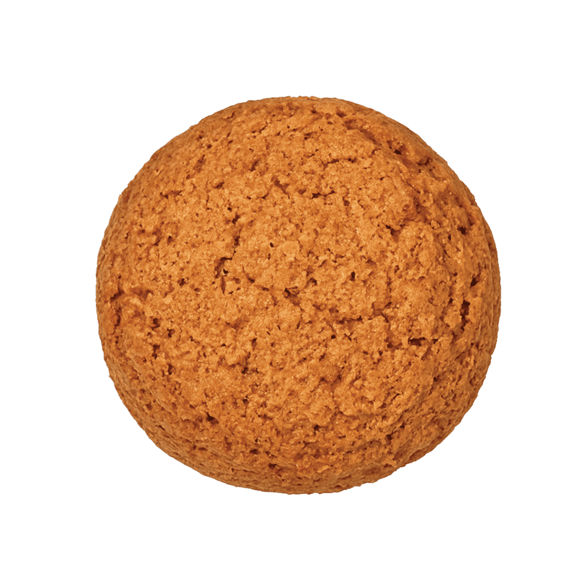Coconut Biscuit