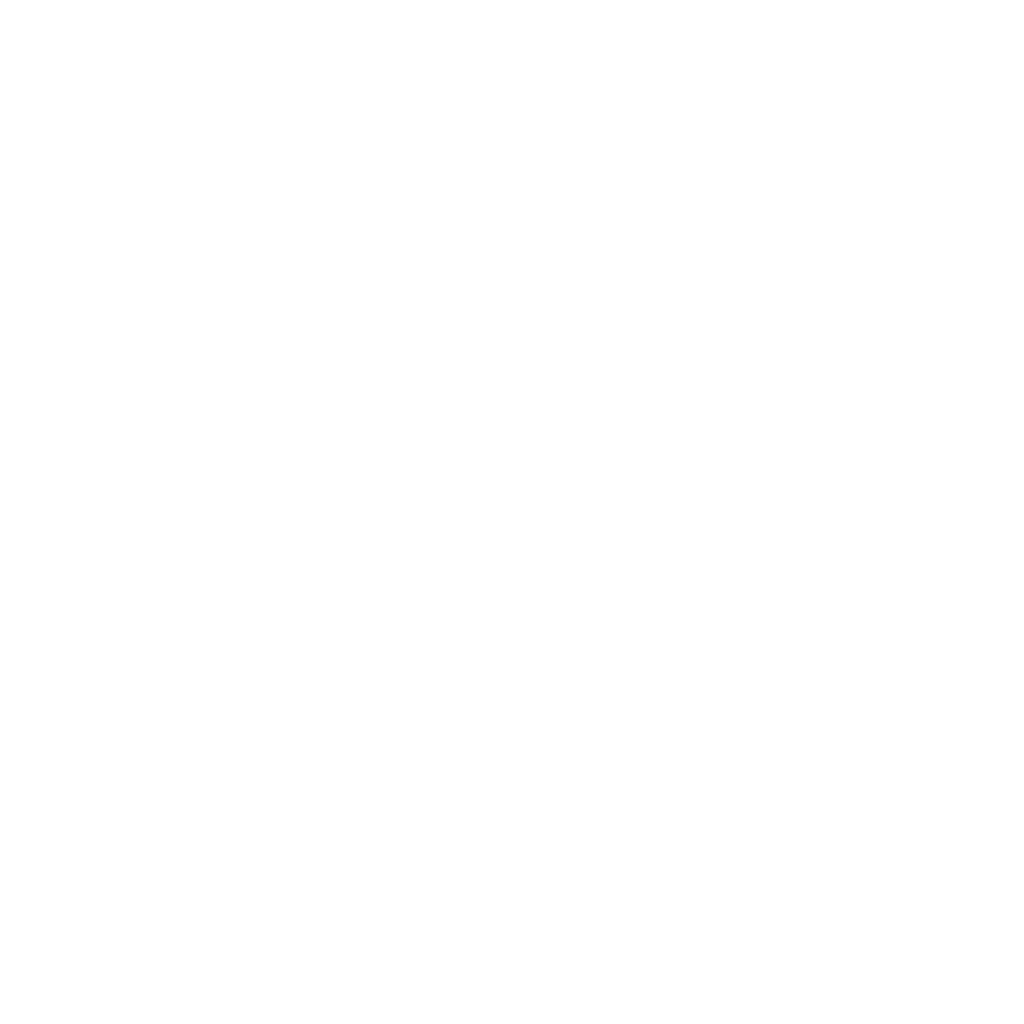 Pintexim Logo