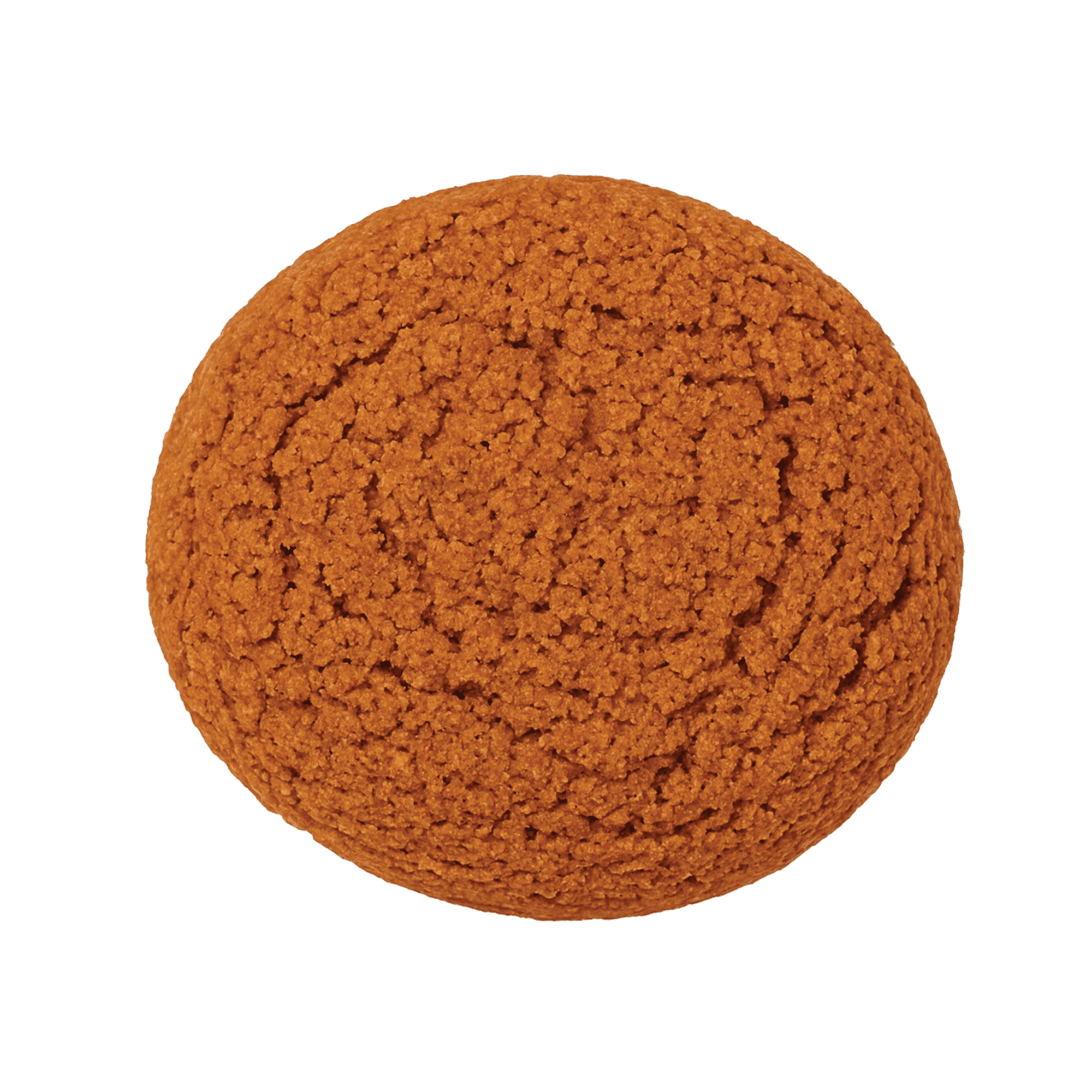 Jowar Biscuit