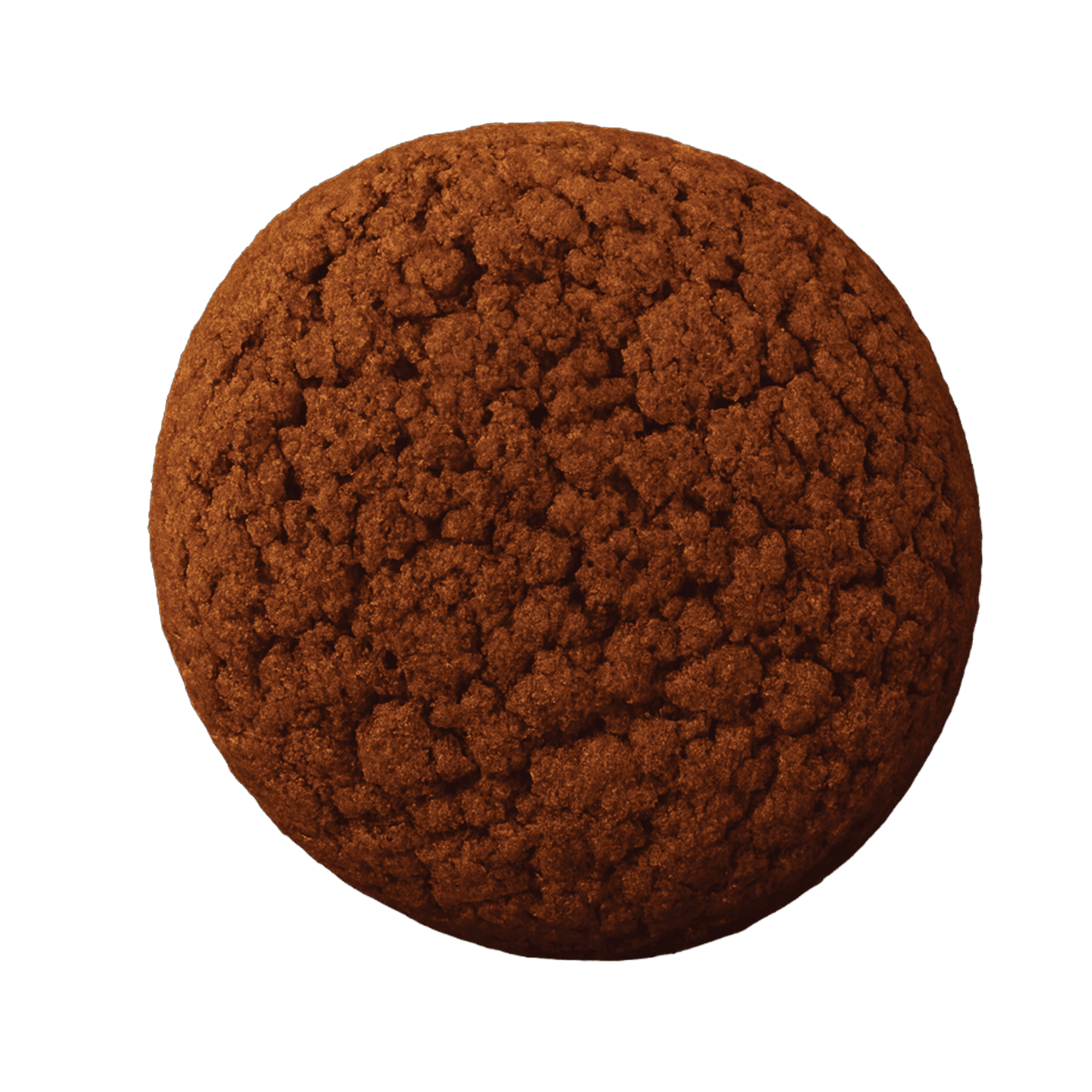 Mix Millet Biscuit