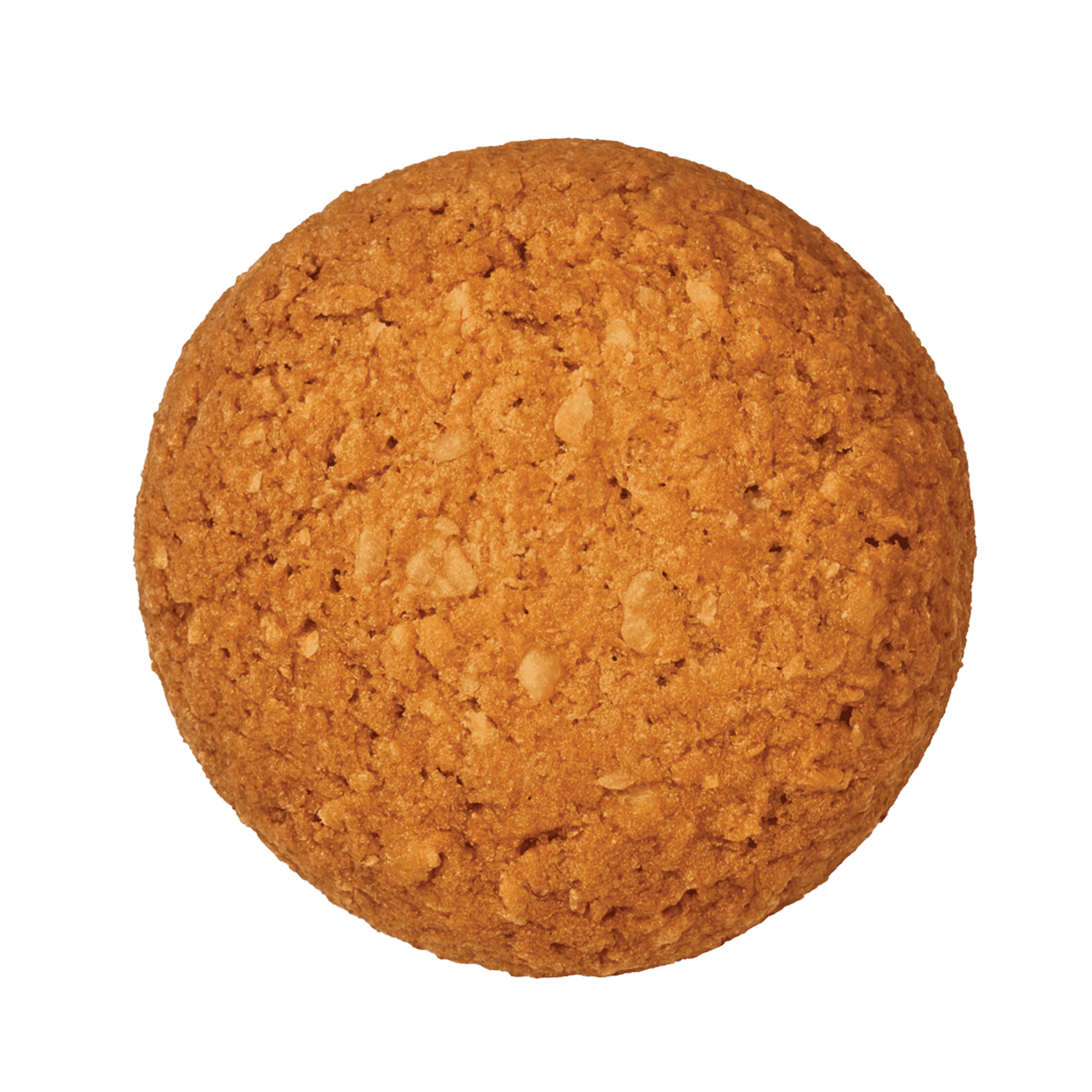 Oats Biscuit